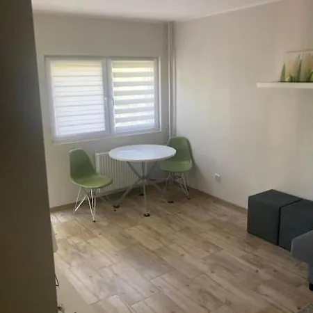 Kawalerka Teofilow Apartment *